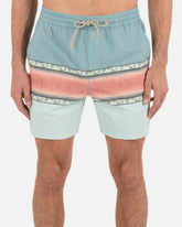 Phantom Naturals Cannonball Boardshort 17" - Fragment