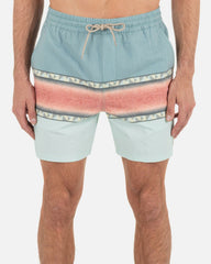 Phantom Naturals Cannonball Boardshort 17" - Fragment