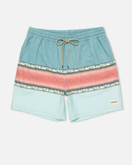 Phantom Naturals Cannonball Boardshort 17" - Fragment