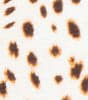 Cheetah Spots Moderate Bottom - Cheetah