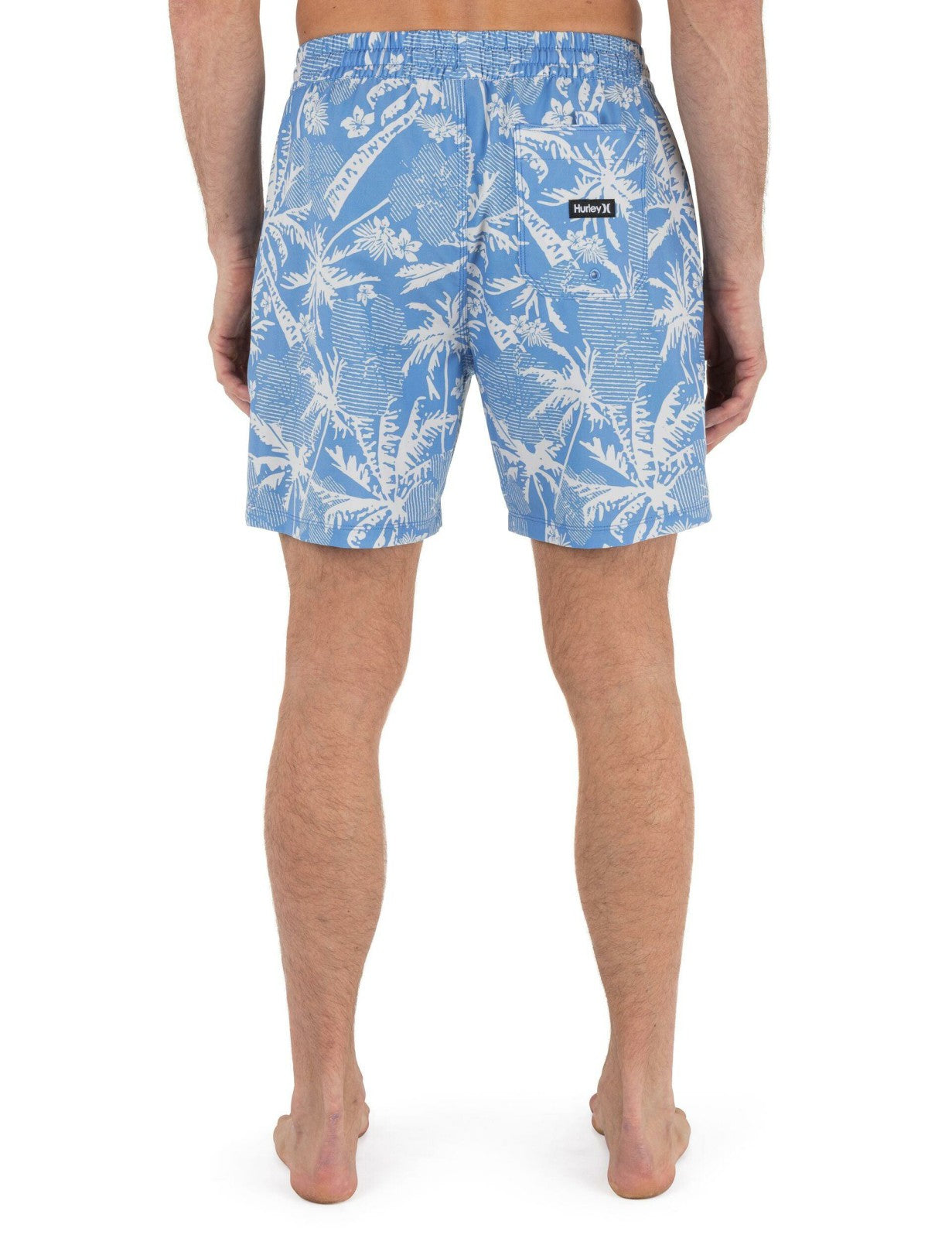 Cannonball Volley Boardshort 17" - Aquifer